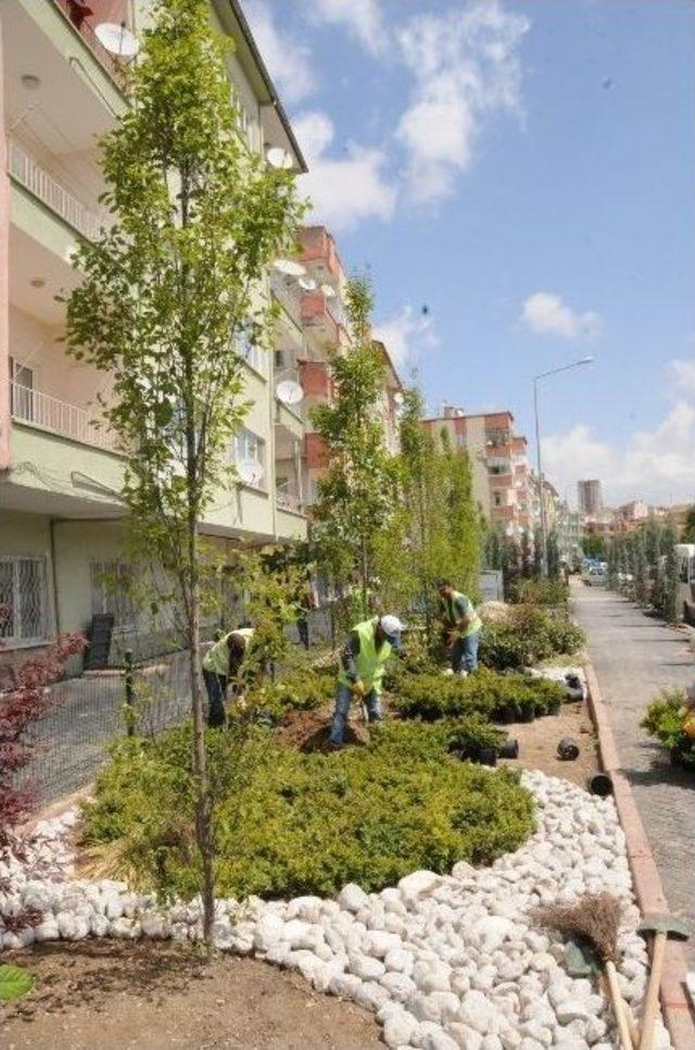 Niğde’de Süleyman Fethi Caddesi Baştan Sona Yenileniyor