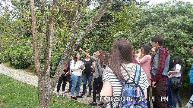 Bilecik Şeyh Edebali Üniversitesi Öğrencilerinden Teknik Gezi