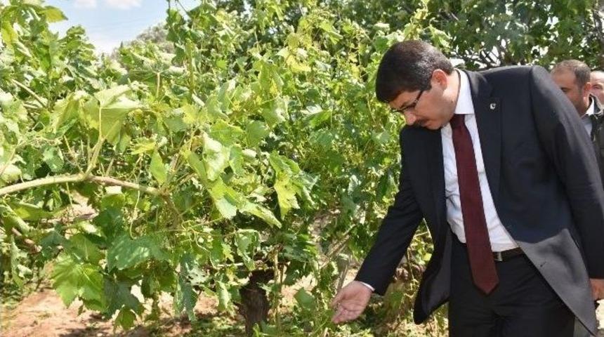 Manisa&rsquo;da Dolu Yağışı &Ccedil;ift&ccedil;iyi Vurdu