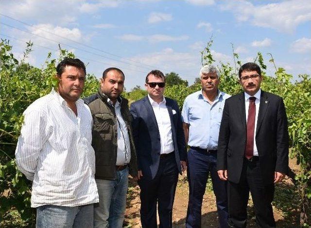 Manisa&rsquo;da Dolu Yağışı &Ccedil;ift&ccedil;iyi Vurdu 1