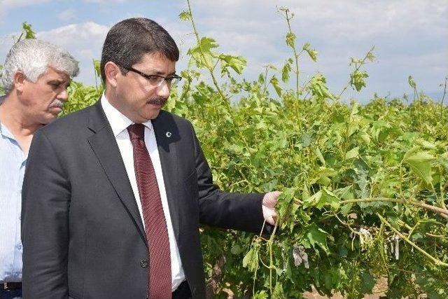 Manisa&rsquo;da Dolu Yağışı &Ccedil;ift&ccedil;iyi Vurdu 2