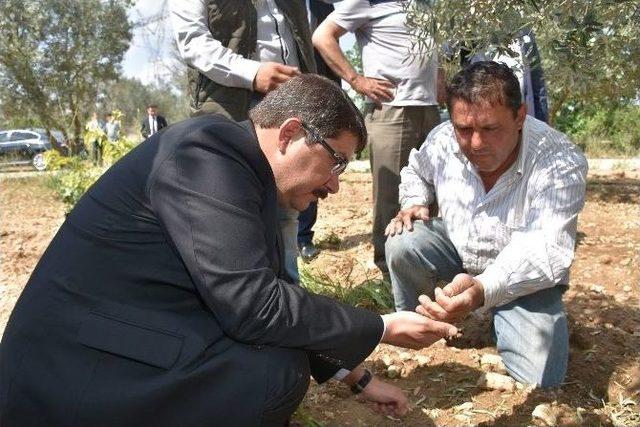 Manisa&rsquo;da Dolu Yağışı &Ccedil;ift&ccedil;iyi Vurdu 3