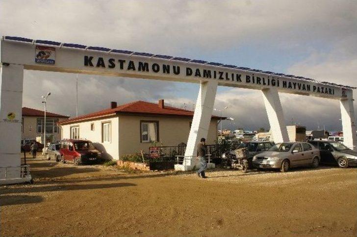 Kastamonu’da Hayvan Pazarı, Şap Hastalığı Nedeniyle Kapatıldı
