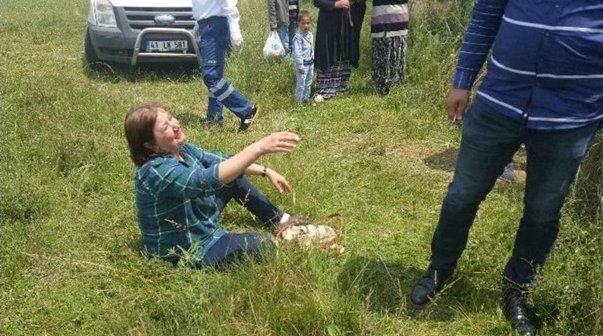 Kocaeli&rsquo;de Bir Kişi Ağa&ccedil;lık Alanda &Ouml;l&uuml; Bulundu