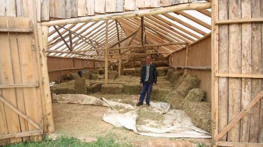 Koyunlarını İnternetten Satışa &Ccedil;ıkaran Besiciler Dolandırıldı