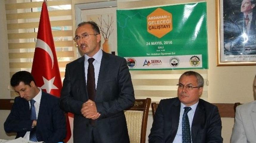 Ardahan Strateji Ve Eylem Planı Çalıştayı Yapıldı