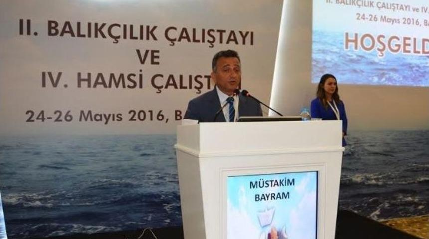 Balığın Y&uuml;zde 70&rsquo;i Karadeniz&rsquo;de Avlanıyor