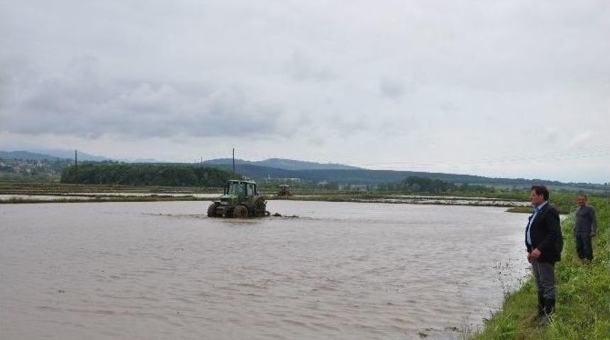 19 Mayıs&rsquo;ta Tarım &Ccedil;eşitliliği Artıyor