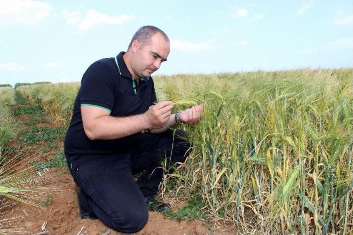 T&uuml;rkiye&rsquo;nin Tohumlarına Tekirdağ Damgası