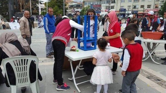 Develi’de Tübitak Bilim Sergisi Açıldı