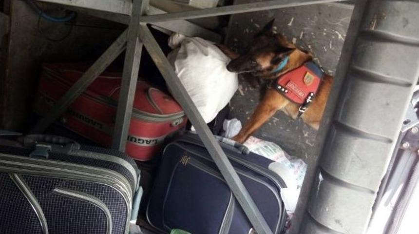 Yolcu Otob&uuml;s&uuml;ndeki Uyuşturucuyu Narkotik K&ouml;peği Buldu