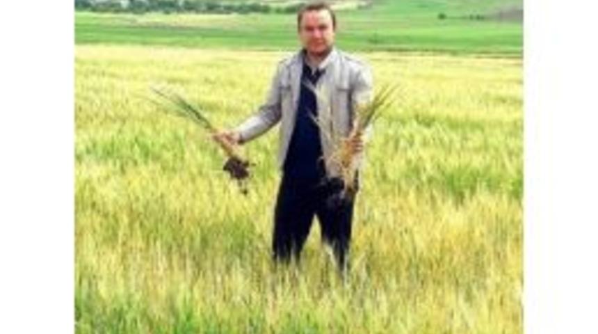 Anız Yakma Saman Olsun Kampanyası