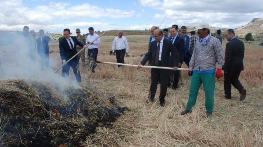 Adıyaman&rsquo;dan Ortadoğu&rsquo;ya Firikbuğday İhracatı