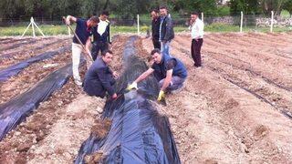 Tokat’ta Alternatif Ürün Projesi