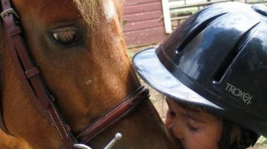 &Ccedil;ankaya Belediyesi&rsquo;nden &rsquo;pony Park&rsquo;