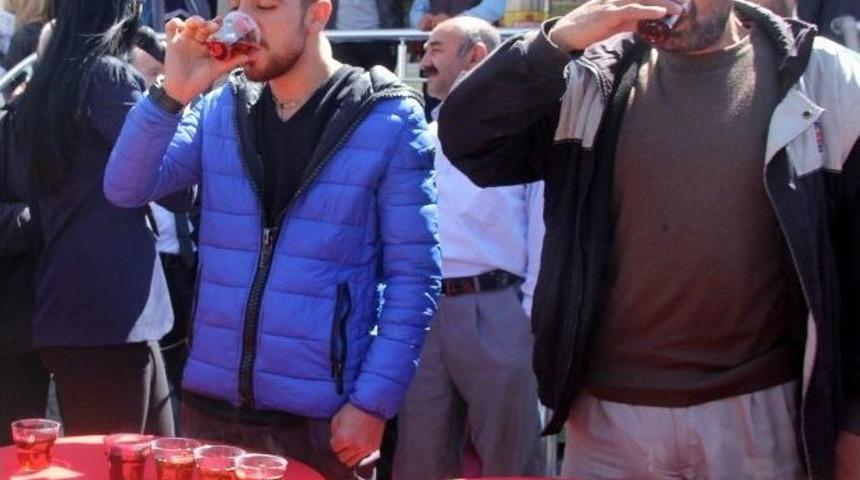 &Ccedil;ayı En Hızlı İ&ccedil;mek İ&ccedil;in Yarıştılar