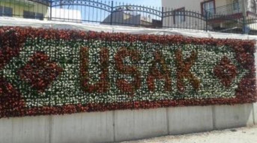 Uşak&rsquo;ın Yaz &Ccedil;i&ccedil;ekleri Dikiliyor