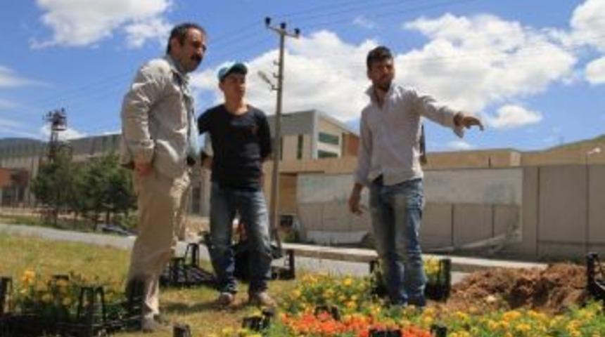 Bitlis Belediyesi Peyzaj &Ccedil;alışmalarına Başladı