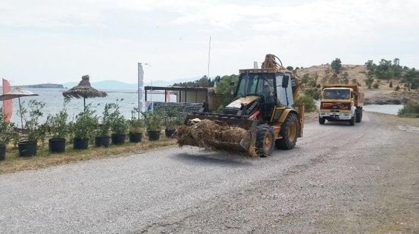 Fo&ccedil;a Yaza Hazırlanıyor