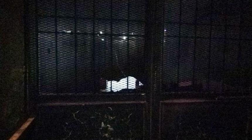 Diyarbakır&rsquo;da Okula Molotoflu Saldırı