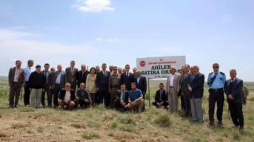 Ahiler Hatıra Ormanında 1071 &Ccedil;am Fidanı Toprakla Buluştu