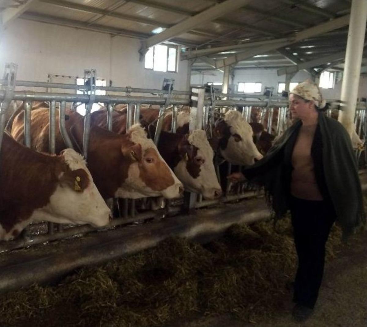 Ev Kadınlığından İş Hayatına