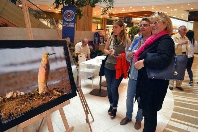 Sanatın Kalbi Kahramanmaraş Piazza Avm’de Atıyor