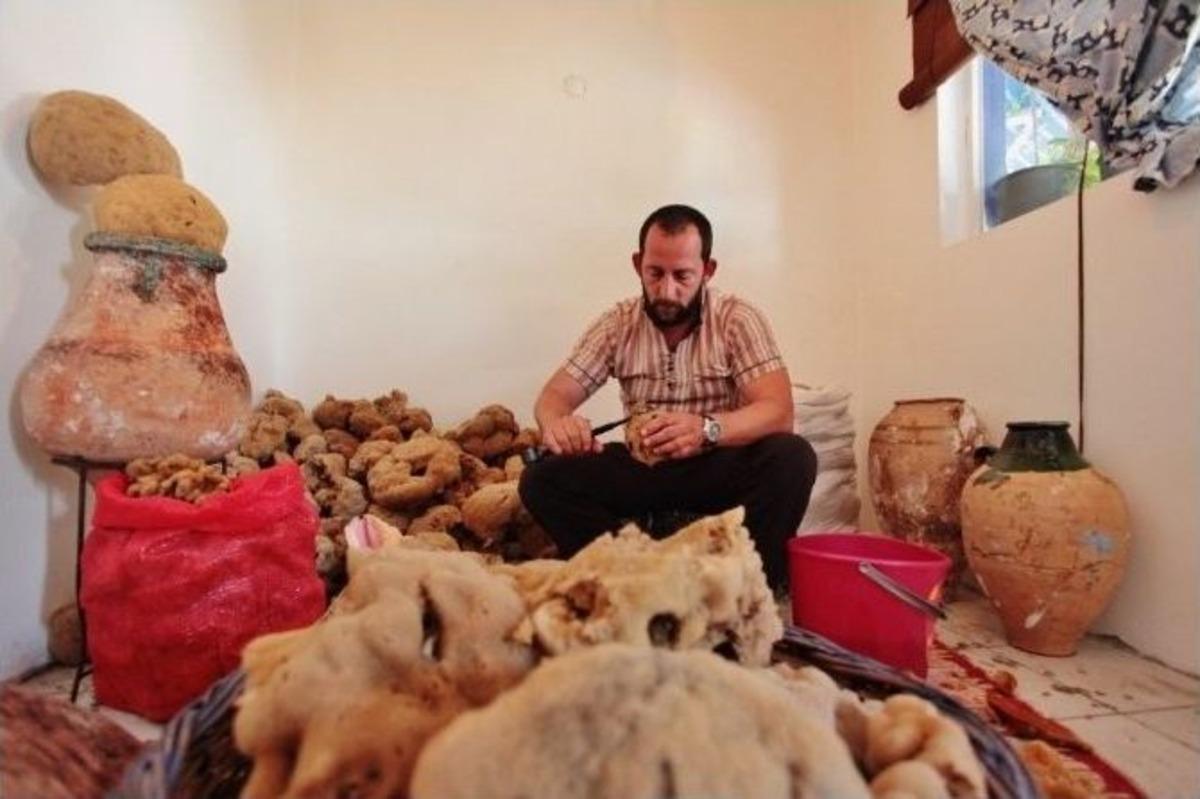 Son S&uuml;ngerci Sezona Hazır