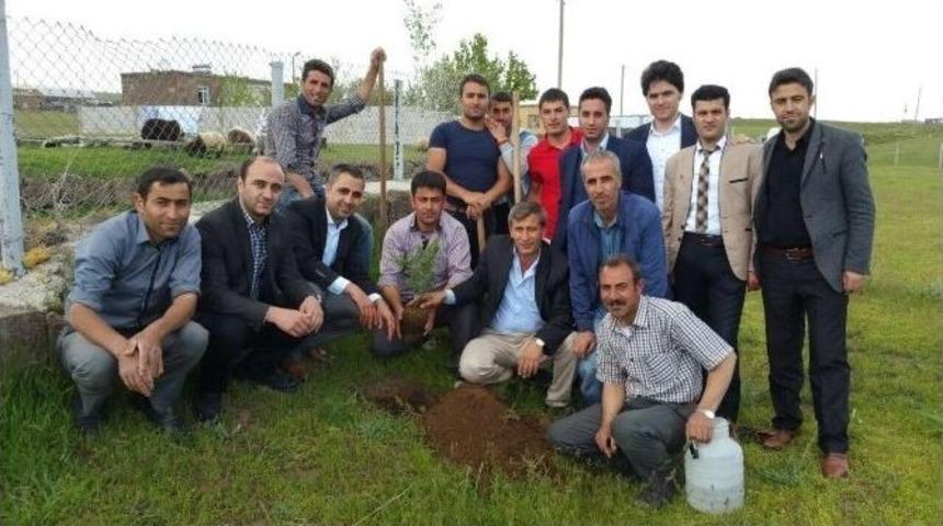 Taşharman K&ouml;y&uuml;nde Fidan Dikim Şenliği