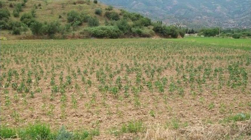 D&uuml;şen Yıldırım Beydağ Sulamasını Vurdu