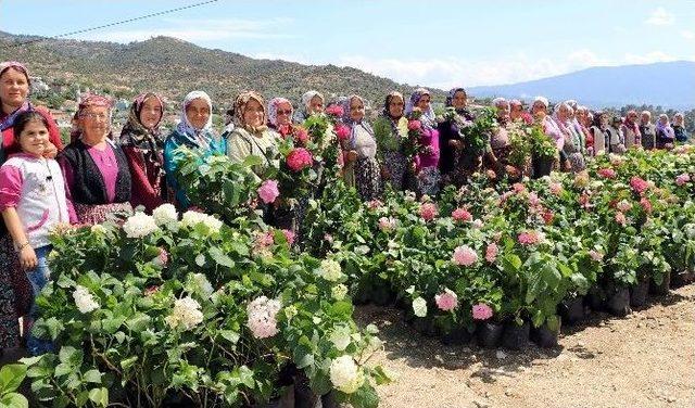 Başkan Çerçioğlu Üreticinin Yüzünü Güldürüyor