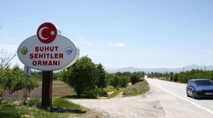 Orman Ve Su İşleri Bakanlığı Bug&uuml;ne Kadar Afyonkarahisar&rsquo;da 86 Adet Şehit Ormanı Tesis Etti