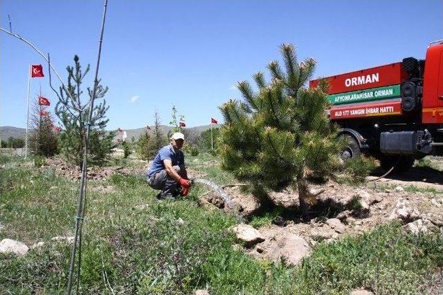 Orman Ve Su İşleri Bakanlığı Bugüne Kadar Afyonkarahisar’da 86 Adet Şehit Ormanı Tesis Etti