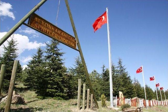 Orman Ve Su İşleri Bakanlığı Bugüne Kadar Afyonkarahisar’da 86 Adet Şehit Ormanı Tesis Etti