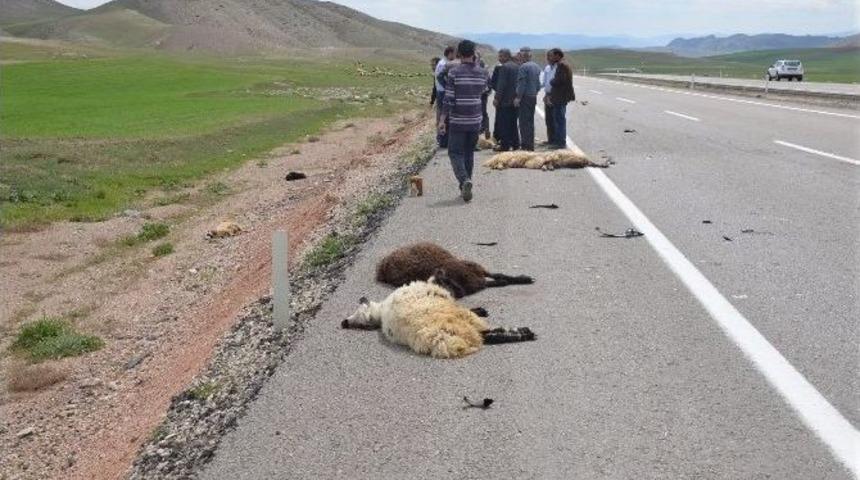 Otomobil Koyun S&uuml;r&uuml;s&uuml;ne &Ccedil;arptı