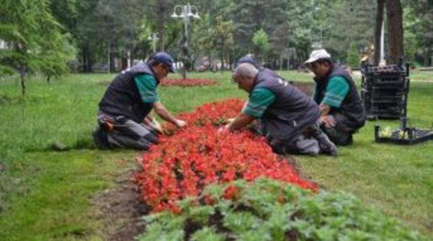 İneg&ouml;l &Ccedil;i&ccedil;ek A&ccedil;tı