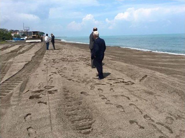 Ak&ccedil;akoca&rsquo;da Sahiller Temizleniyor 1