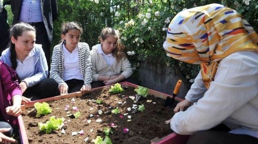 K&uuml;&ccedil;&uuml;k &Ccedil;ift&ccedil;iler Yetişiyor