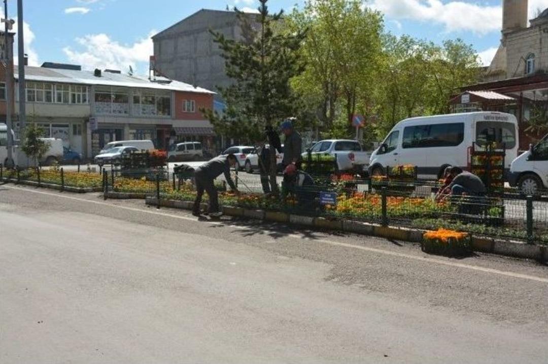 Ardahan&rsquo;da Yaz Sezonu &Ccedil;i&ccedil;ek &Ccedil;alışmaları Başladı