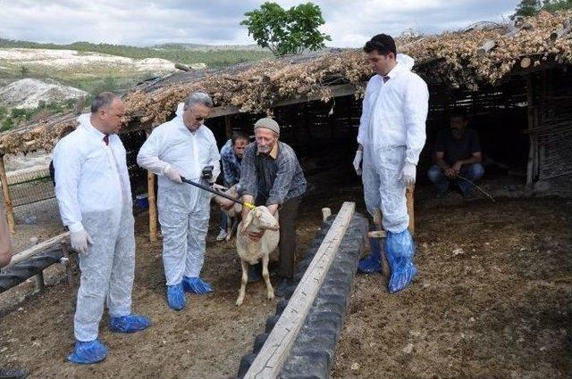 Hastalıklar Elektronik K&uuml;peyle Takip Edilecek 2