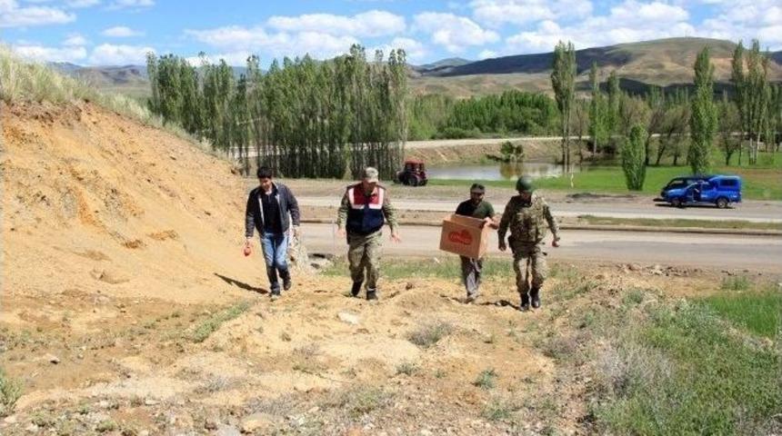 Yolda Bulunan Angıt &Ouml;rdeği Yavruları Tekrardan Yuvalarına Kavuşturuldu