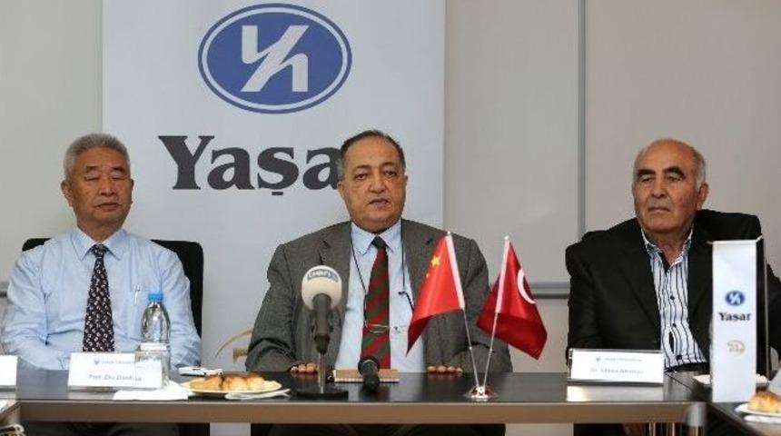 Hayvancılığın Geleceği Alternatif Yem Bitkilerinde