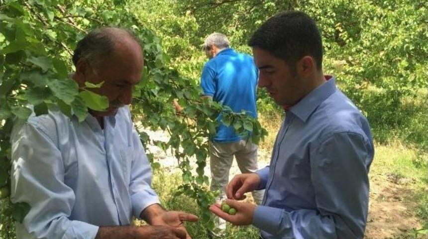 Chp&rsquo;li Kiraz, G&uuml;mr&uuml;k Ve Ticaret Bakanı B&uuml;lent T&uuml;fenkci&rsquo;ye Seslendi