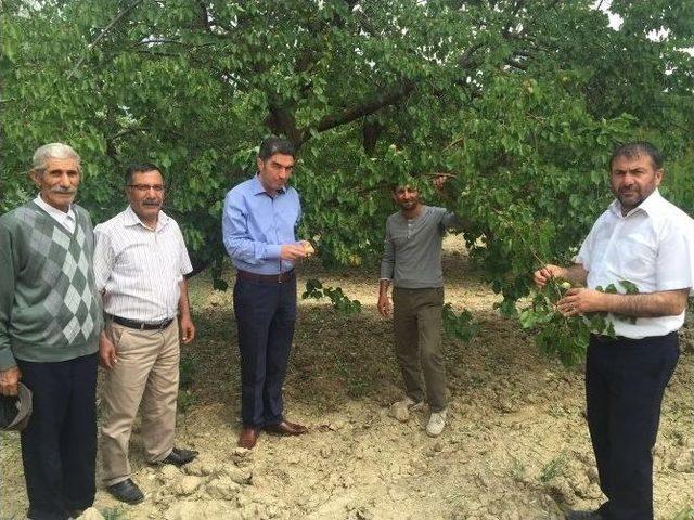 Chp&rsquo;li Kiraz, G&uuml;mr&uuml;k Ve Ticaret Bakanı B&uuml;lent T&uuml;fenkci&rsquo;ye Seslendi 1