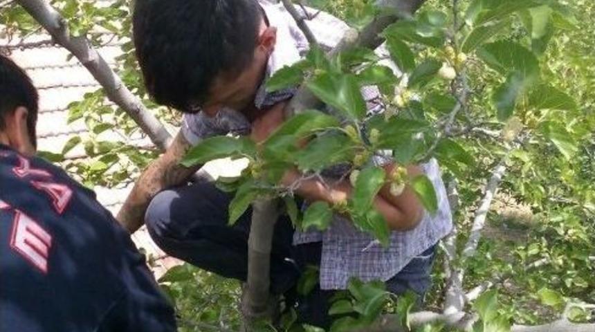 Ağa&ccedil;ta Mahsur Kalan Gencin İmdadına İtfaiye Yetişti