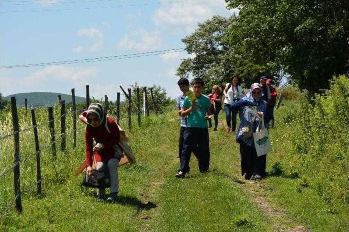 Bafra&rsquo;da Ot Toplama Yarışması