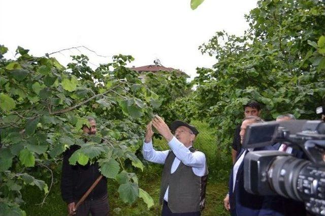 Kılı&ccedil;daroğlu Tırpan Salladı 1