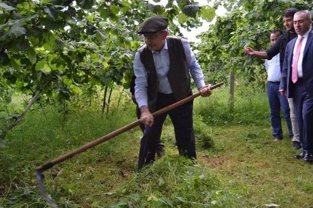 Kılı&ccedil;daroğlu Tırpan Salladı 2