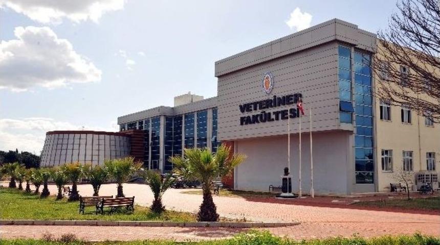 Ad&uuml; Veteriner Fak&uuml;ltesi&rsquo;nin Eğitim Kalitesine Ab Tescili