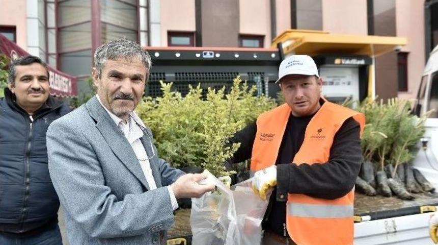 Vatandaşa 10 Bin Fidan Dağıtıldı